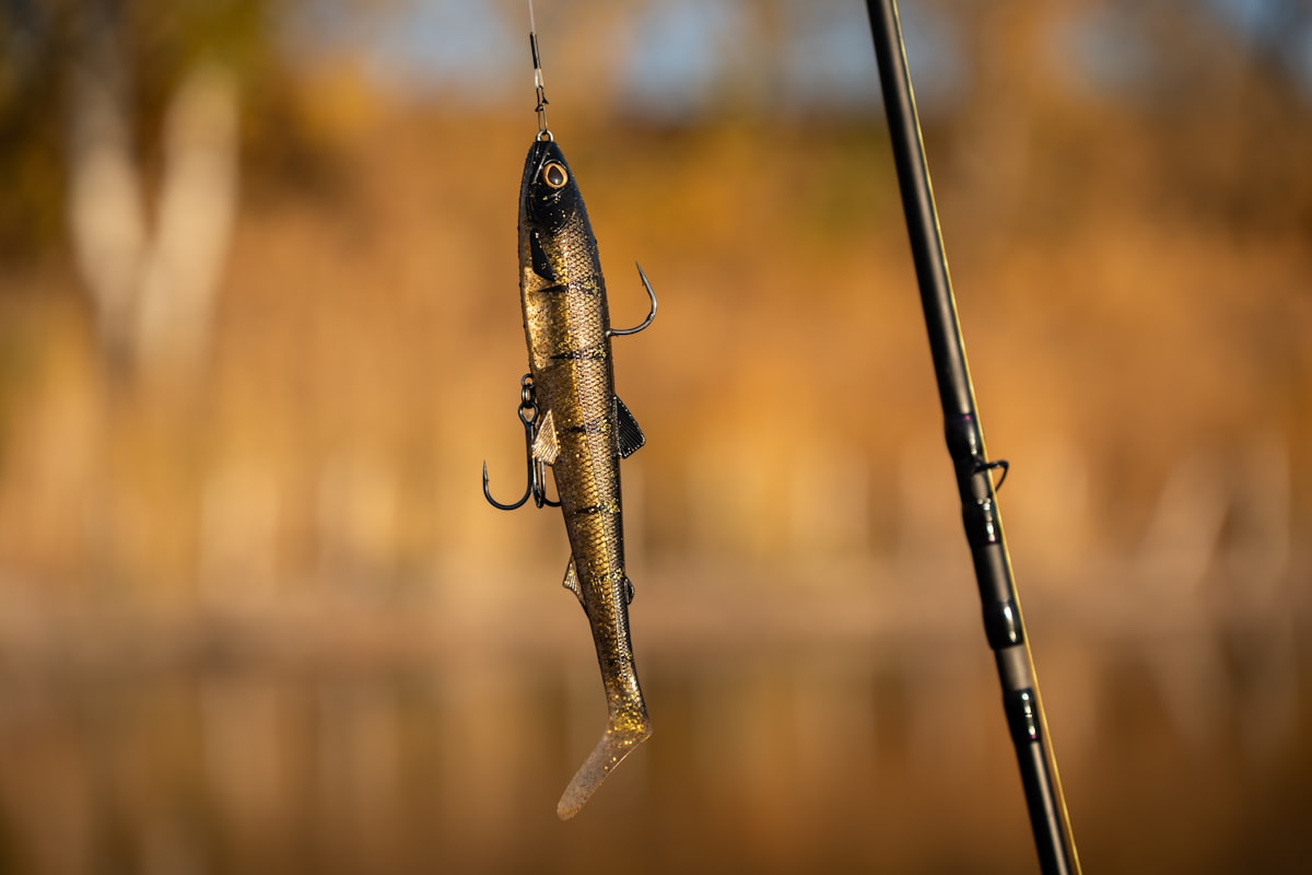 Sprzęt wędkarski Jaro Fishing - wędki, kołowrotki, przynęty